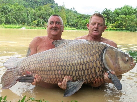 http://www.richardvana.com/uploadfile/2014/0821/20140821040628504.jpg