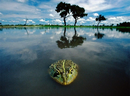 http://www.richardvana.com/uploadfile/2014/1008/20141008103251473.bmp