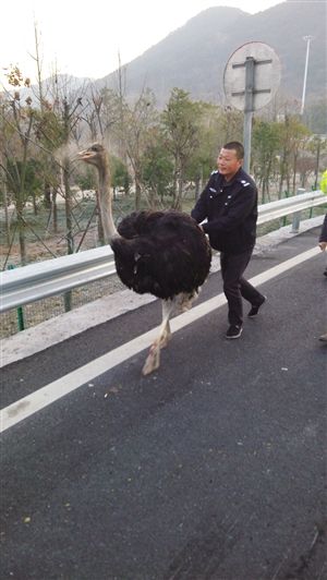 http://www.richardvana.com/uploadfile/2014/1223/20141223100232540.jpg