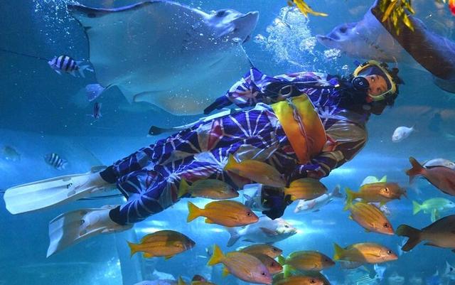 水族館職員穿夏季和服潛水喂魚網(wǎng)頁(yè)截圖 