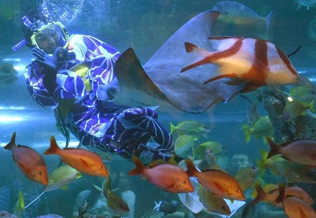 水族館職員穿夏季和服潛水喂魚（網(wǎng)頁(yè)截圖）
