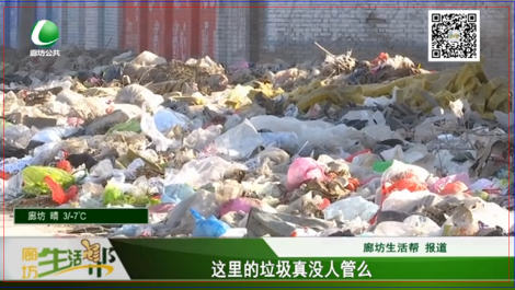 這里的垃圾真的沒(méi)人管嗎？