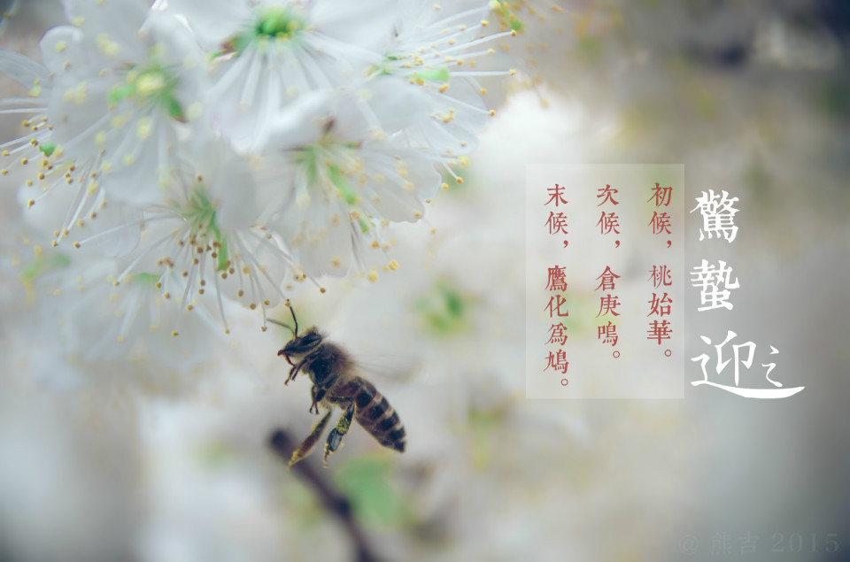 驚蟄吃這5種蔬菜，養(yǎng)生排毒效果佳