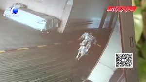 不文明曝光臺