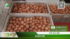 如何購(gòu)買(mǎi)雞蛋