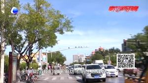 國槐 月季被評(píng)為我市“市樹” “市花” 受市民歡迎