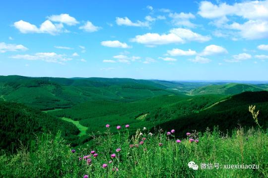 習(xí)總牽掛的塞罕壩，你去過嗎？小組剛?cè)ミ^！