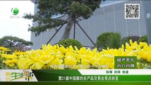 第21屆中國廊坊農(nóng)產(chǎn)品交易會亮點(diǎn)紛呈