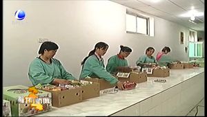 “9.26”農(nóng)交會綜述：農(nóng)交會引領廊坊都市型現(xiàn)代農(nóng)業(yè)開啟新空間