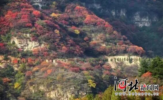 駝梁、大海陀自然保護區(qū)建設(shè)項目獲準立項