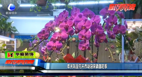 年關(guān)將至花卉市場(chǎng)迎來銷售旺季