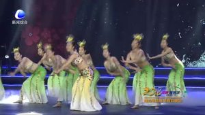 廊坊網(wǎng)絡春節(jié)聯(lián)歡晚會——年年有余