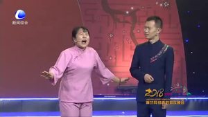 廊坊網(wǎng)絡春節(jié)聯(lián)歡晚會——美麗廊坊我的家