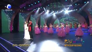 廊坊網(wǎng)絡春節(jié)聯(lián)歡晚會——新的天地
