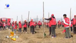 我市各地開展春季義務(wù)植樹活動