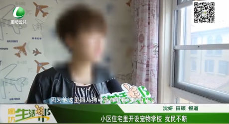 小區(qū)住宅里開設(shè)寵物學(xué)校 擾民不斷