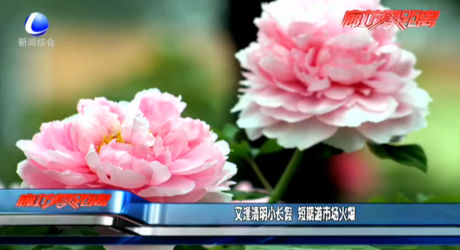 又逢清明小長假 假期游市場火爆