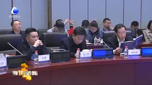 中國（廊坊）智能汽車高峰論壇暨中德產(chǎn)業(yè)合作峰會(huì)舉行