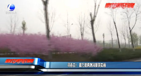 尋春去！廊萬路兩側(cè)風景美如畫