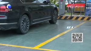 燃油汽車“鳩占鵲巢” 新能源車主很無奈