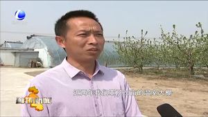 香河縣安平鎮(zhèn)休閑觀光農(nóng)業(yè)打造農(nóng)村新經(jīng)濟(jì)增長極