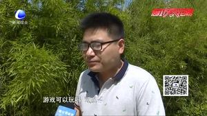 沉迷手機(jī)的孩子 內(nèi)心快樂(lè)嗎？