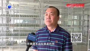 食在好源頭——黃酒的營(yíng)養(yǎng)保健功能