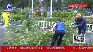 綜合執(zhí)法局冒雨清理倒伏樹木 及時(shí)疏導(dǎo)保證市民通行安全