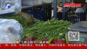 雨后綠葉菜價(jià)格暴漲 蔬菜總體均價(jià)上漲30%