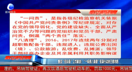 整改“回頭看”工作解讀：“一問責八清理”專項行動的主要內容