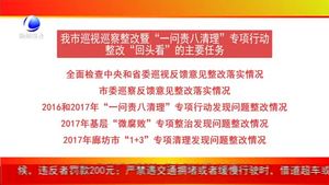 整改“回頭看”工作解讀