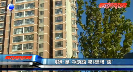 零距離·熱線：大風(fēng)過(guò)墻皮落 停樓下的愛(ài)車遭“毀容”