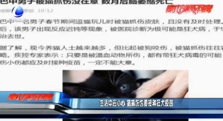 生活中應小心 貓抓傷也要接種狂犬疫苗