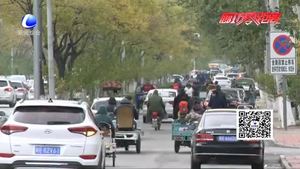 交通違法曝光臺：非機動車逆行“太任性”