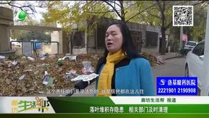落葉堆積存隱患 相關(guān)部門及時清理