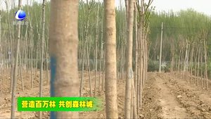 我市加大秋冬季造林力度 打造京津保平原生態(tài)過渡帶核心區(qū)