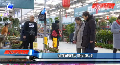 花卉綠植扮靚生活 價(jià)格親民惹人愛