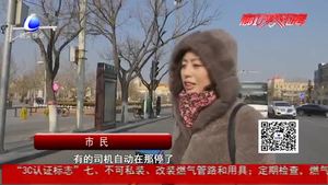 禮讓斑馬線 廊坊市民這么說(shuō)