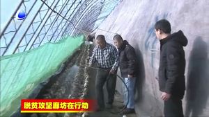 三河市山清種植有限公司以林果木廢物生產香菇助力高質量脫貧