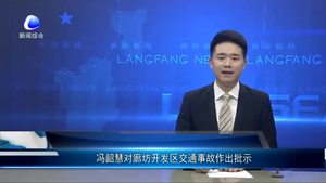 馮韶慧對(duì)廊坊開發(fā)區(qū)交通事故作出批示