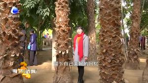 文明旅游：維護(hù)景區(qū)環(huán)境讓風(fēng)景更美麗