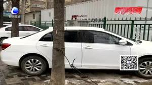 我市市區(qū)多條街巷成了停車場(chǎng)