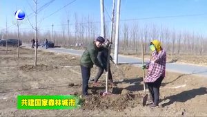 三河市皇莊鎮(zhèn)掀起春季植樹造林熱潮