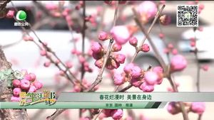 春花爛漫時(shí) 美景在身邊