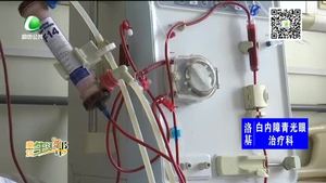 助你文明——轉向燈的重要性