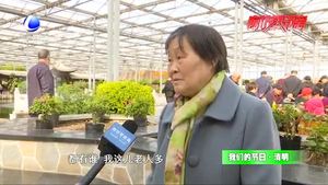 我們的節(jié)日·清明：又到清明時 說出你的思念