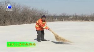 大城縣廣安鎮(zhèn)扎實開展農村環(huán)境整治工作