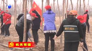 市直工委組織市直機關黨員志愿者義務植物