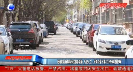 陽春四月楊絮成市民暮春煩惱 專業(yè)人士：輕微少量飛絮不會(huì)帶來明顯影響