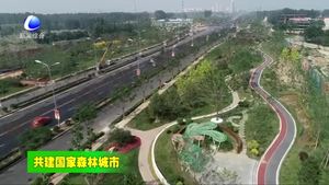 我市第一季度超額完成省下達全年營造林任務